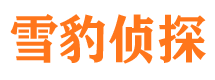 黄浦找人公司